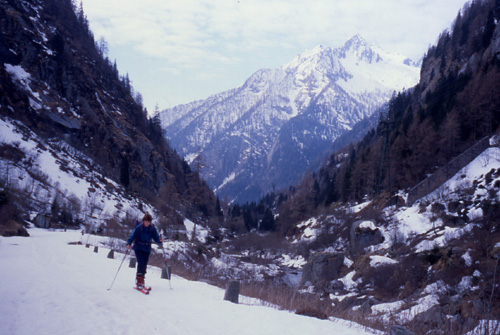 Adamello from the south