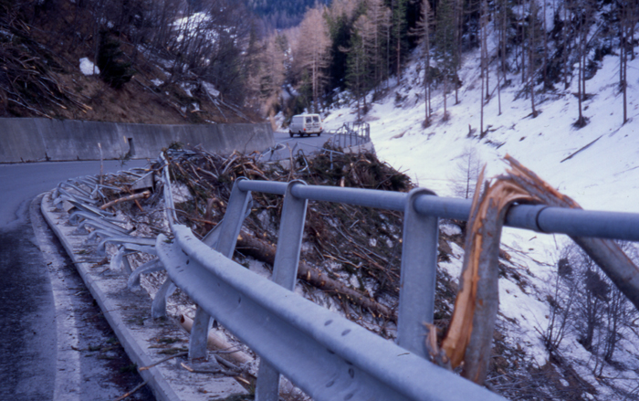 The devastation left by a giant avalanche in Eastern Switzerland in the highly unusual spring of 1999. 