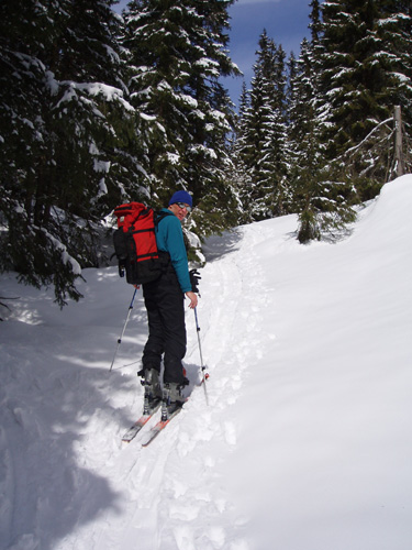 Typical forest ski touring in Slovakia.