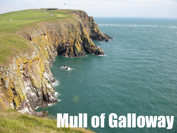 Mull of Galloway, Puffin